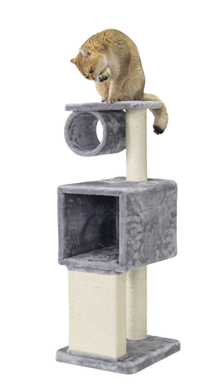 Nobby Kratzbaum Fina